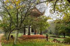 Tim-dau-noi-dau-08