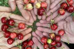 IMG-20250611-WA0000