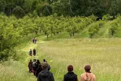 IMG-20250611-WA0001