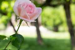 IMG-20250611-WA0004
