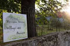 IMG-20250611-WA0006